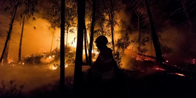 Incêndios. Autoestrada 24 reabriu no sentido Chaves/Espanha