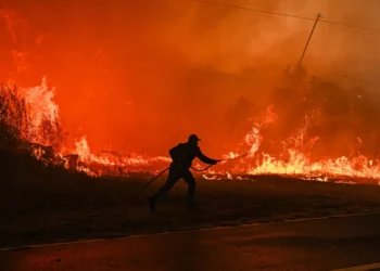 Santa Comba da Vilariça cercada pelo fogo e sem bombeiros no combate