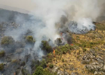 Pampilhosa da Serra desativa plano de emergência