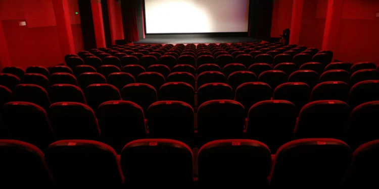 Cinanima terá 110 filmes a competir e categoria para “linguagem híbrida”