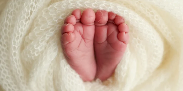 De Faro a Portimão: Bebé nasce em ambulância na A22. “Momento especial”