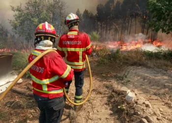 Dominado fogo em Vila Chã de Sá, em Viseu