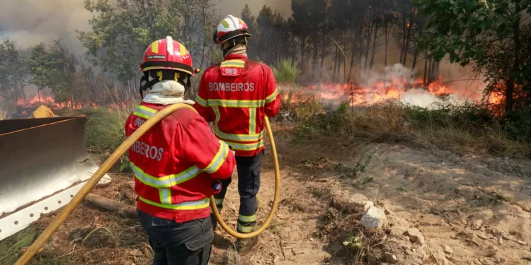 Dominado fogo em Vila Chã de Sá, em Viseu