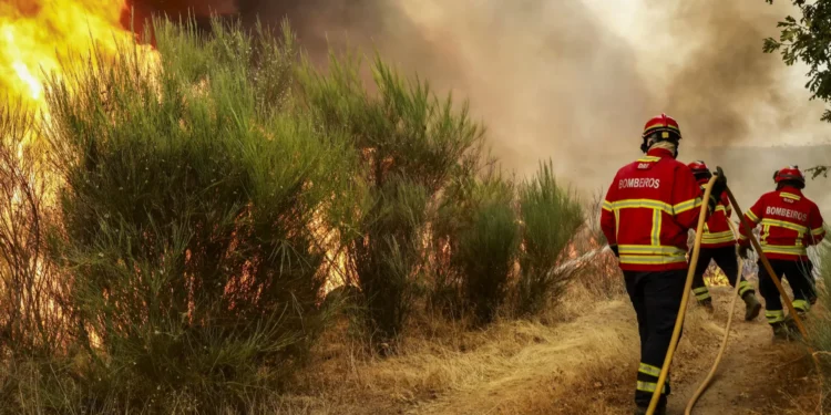 Mais de 1.700 operacionais combatiam os fogos mais preocupantes às 4h15