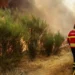 Mais de 1.700 operacionais combatiam os fogos mais preocupantes às 4h15