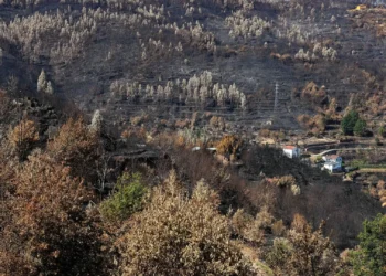 Incêndios. Publicada portaria para obras urgentes e recuperação das áreas protegidas