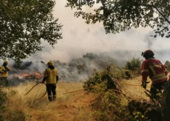 Incêndio na serra do Alvão com uma frente a ceder aos meios