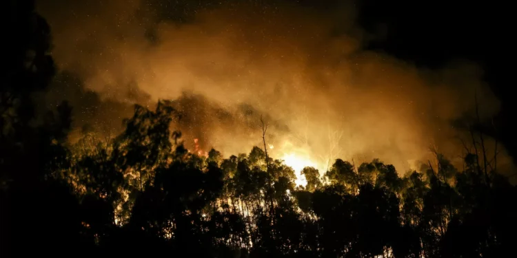 Cerca de 100 concelhos do Norte e Centro em risco máximo de incêndio