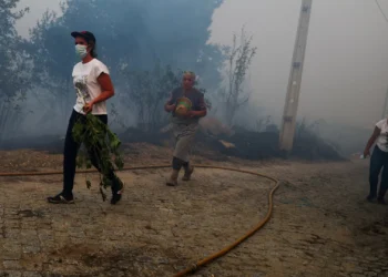 Seis feridos ligeiros em Trancoso e outras 11 pessoas assistidas