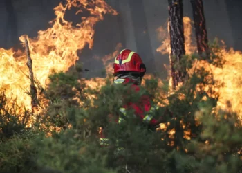 Fogos mobilizam 2 mil bombeiros e 8 aviões. Trancoso é o mais preocupante