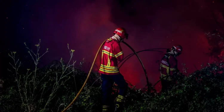 Combate ao fogo decorre favoravelmente em Chaves