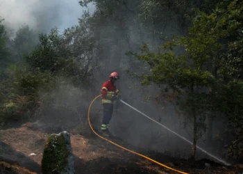 É bombeiro? DGS explica como se deve alimentar para o combate aos fogos