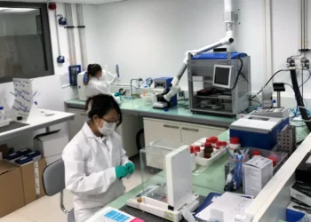 “Em pouco tempo, podemos ter uma quebra extraordinária de recursos humanos”, alerta sindicato