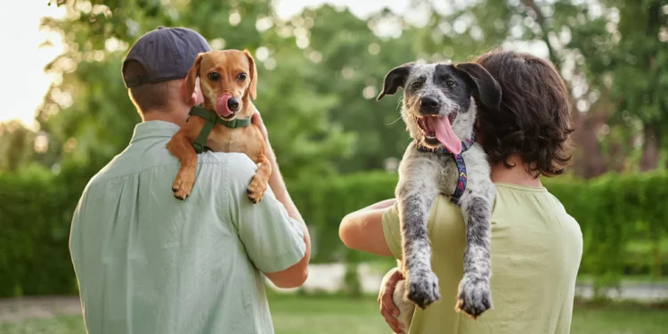 A revolução dos bichos: Brasil possui hoje a terceira maior população de pets do mundo