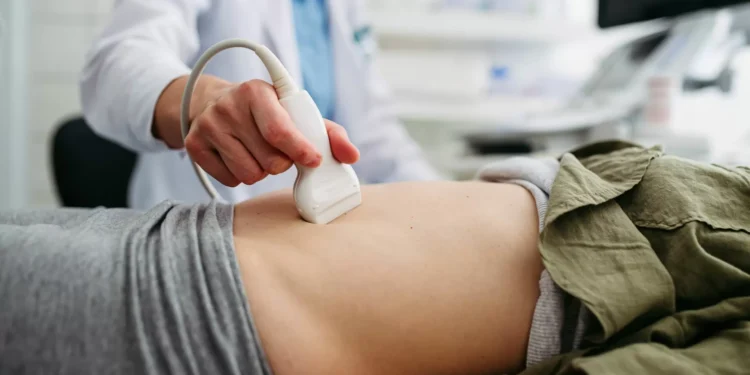 Vigilância da gravidez de baixo risco por enfermeiros arranca em 2026