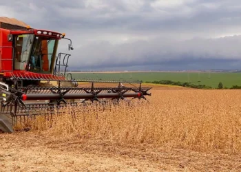 Primeiro prognóstico para a safra agrícola de 2026 aponta queda de 3,7%