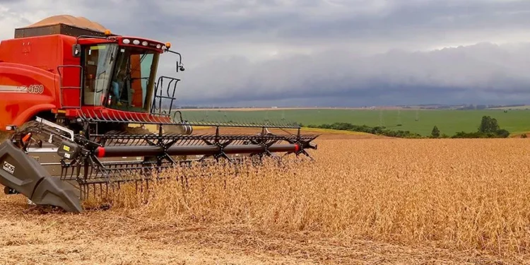 Primeiro prognóstico para a safra agrícola de 2026 aponta queda de 3,7%