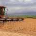 Primeiro prognóstico para a safra agrícola de 2026 aponta queda de 3,7%