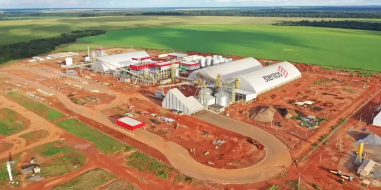 3tentos investe R$ 60 milhões para processamento de canola no RS