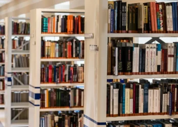 FliParaíba: festival ocorre até o fim de semana em João Pesssoa