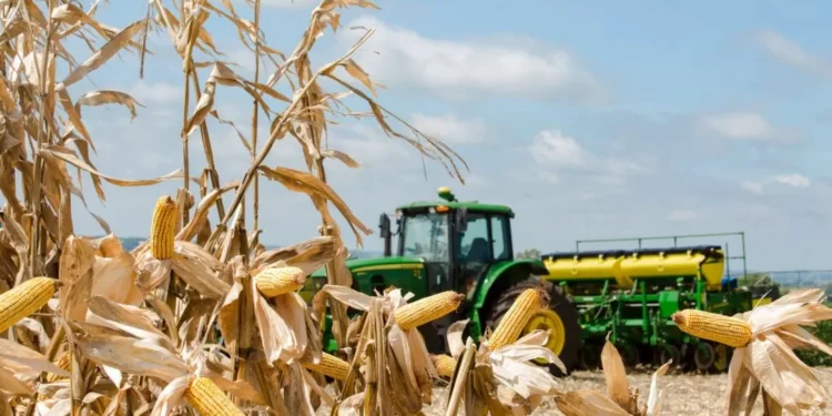 PIB gaúcho avança 4,5% no terceiro trimestre