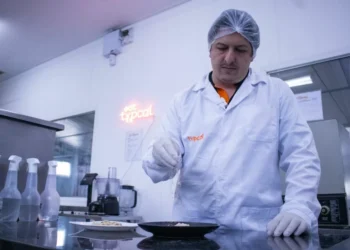 Startup curitibana Typcal recebe R$ 2 milhões de aceleradora belga