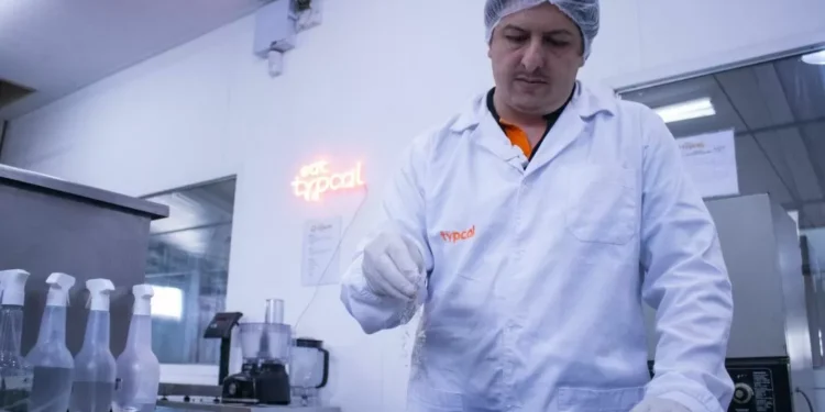 Startup curitibana Typcal recebe R$ 2 milhões de aceleradora belga