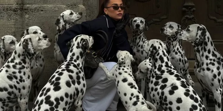 O que tem levado influenciadores a usarem pets de Inteligência Artificial