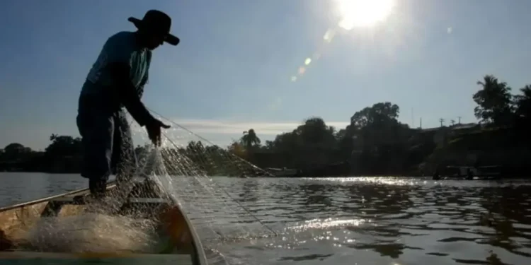 El Niño pode aumentar captura de peixes na costa Sul do Brasil