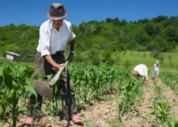 CMN amplia apoio a produtores rurais