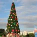 Conheça a história da árvore de Natal, símbolo das festas natalinas