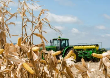 PIB gaúcho avança 4,5% no terceiro trimestre