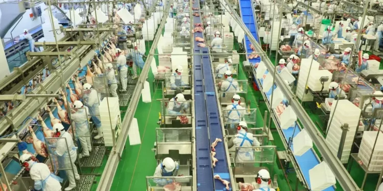 Acordo Mercosul-UE trará ganhos em quase todos os setores do agronegócio