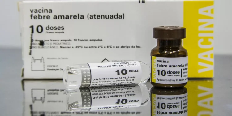 SP: quem tomou vacina fracionada da febre amarela deve completar ciclo