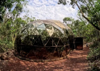 Como é visitar Inhotim, eleito pelo New York Times destino para 2026