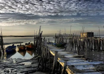 Cais palafítico da Carrasqueira com destruição parcial e apelo a doação de madeira