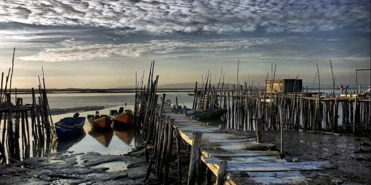 Cais palafítico da Carrasqueira com destruição parcial e apelo a doação de madeira