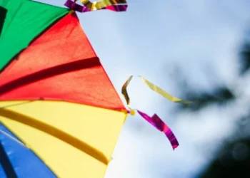 Frevo mistura marcha e maxixe; passos acelerados vieram da capoeira