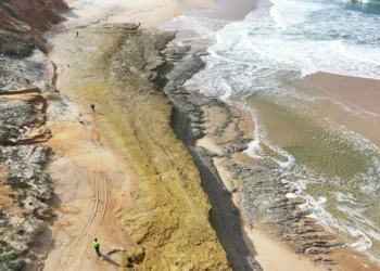 Descobertos fósseis a norte da praia da Galé (Fontainhas) em Grândola