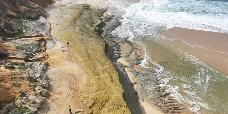 Descobertos fósseis a norte da praia da Galé (Fontainhas) em Grândola
