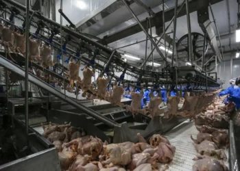 Brasil regulamentará salvaguardas em acordos comerciais