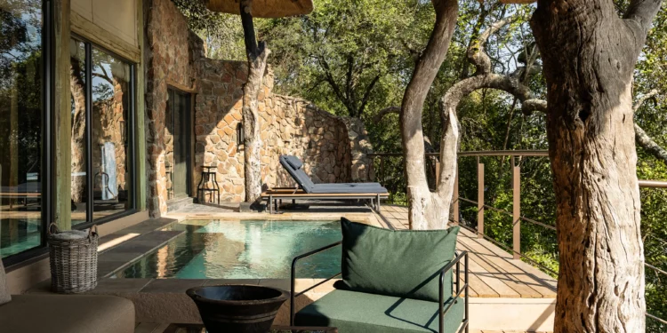 Grupo hoteleiro amplia experiência na África do Sul com hospedagem e conservação ambiental