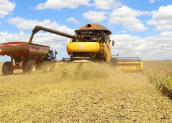 Produção da soja tem previsão de novo recorde
