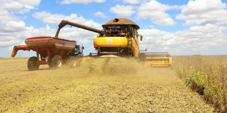 Produção da soja tem previsão de novo recorde