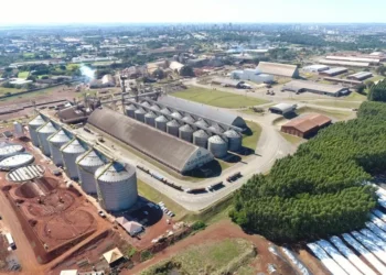 Cocamar prevê faturar R$ 25 bilhões em até cinco anos