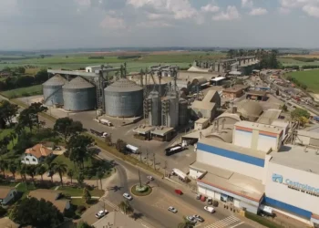 Castrolanda registra lucro líquido recorde