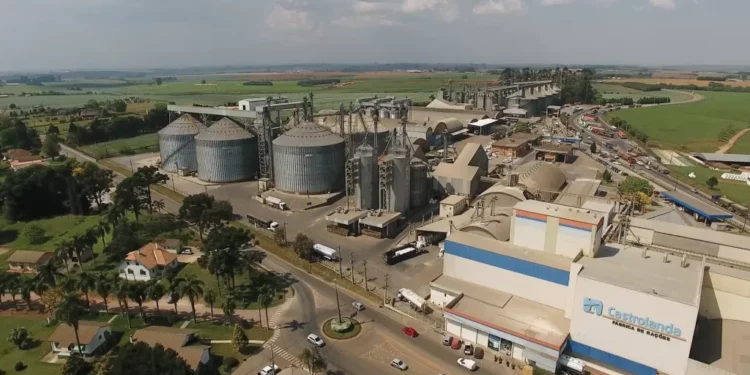 Castrolanda registra lucro líquido recorde