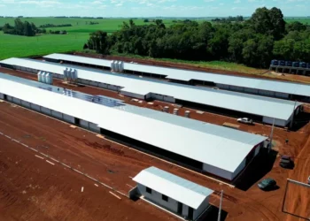 Paraná e MBRF anunciam R$ 375 milhões para fortalecer produção de alimentos