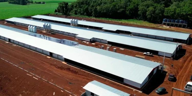 Paraná e MBRF anunciam R$ 375 milhões para fortalecer produção de alimentos