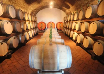 Brasil aumenta consumo de vinhos importados